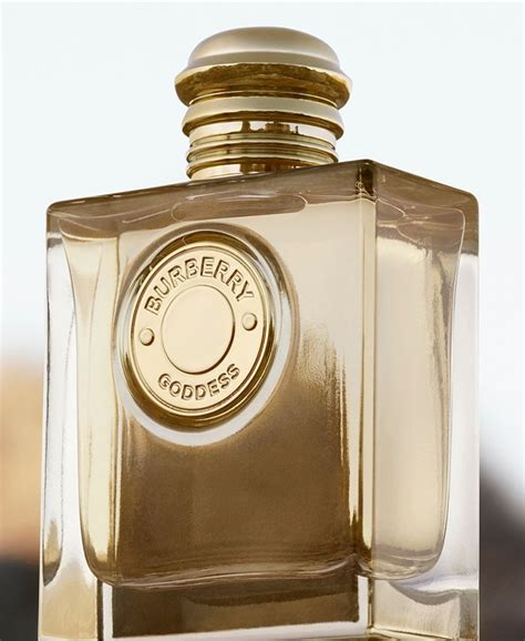 macy's burberry body perfume|burberry goddess perfume 3.3 oz.